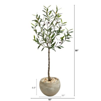 50-Inch Olive Artificial Tree in Sand Colored Planter