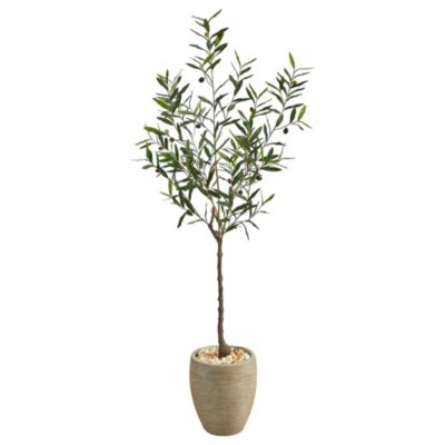 5.5-Foot Olive Artificial Tree in Sand Colored Planter