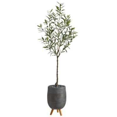 70-Inch Olive Artificial Tree in Gray Planter with Stand