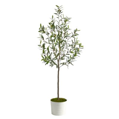 70-Inch Olive Artificial Tree in White Tin Planter