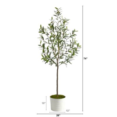 70-Inch Olive Artificial Tree in White Tin Planter