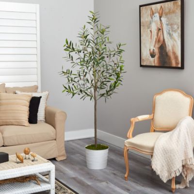 70-Inch Olive Artificial Tree in White Tin Planter