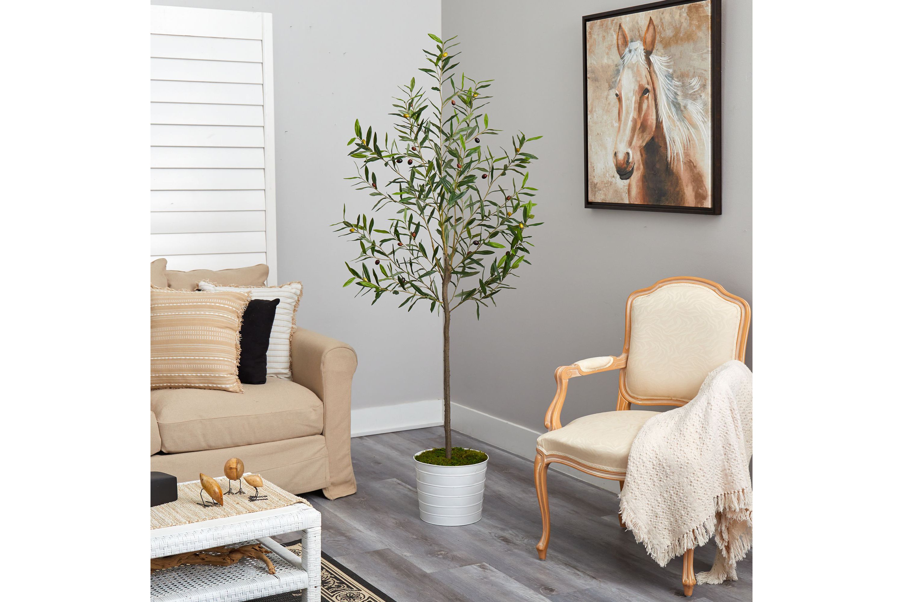 70-Inch Olive Artificial Tree in White Tin Planter
