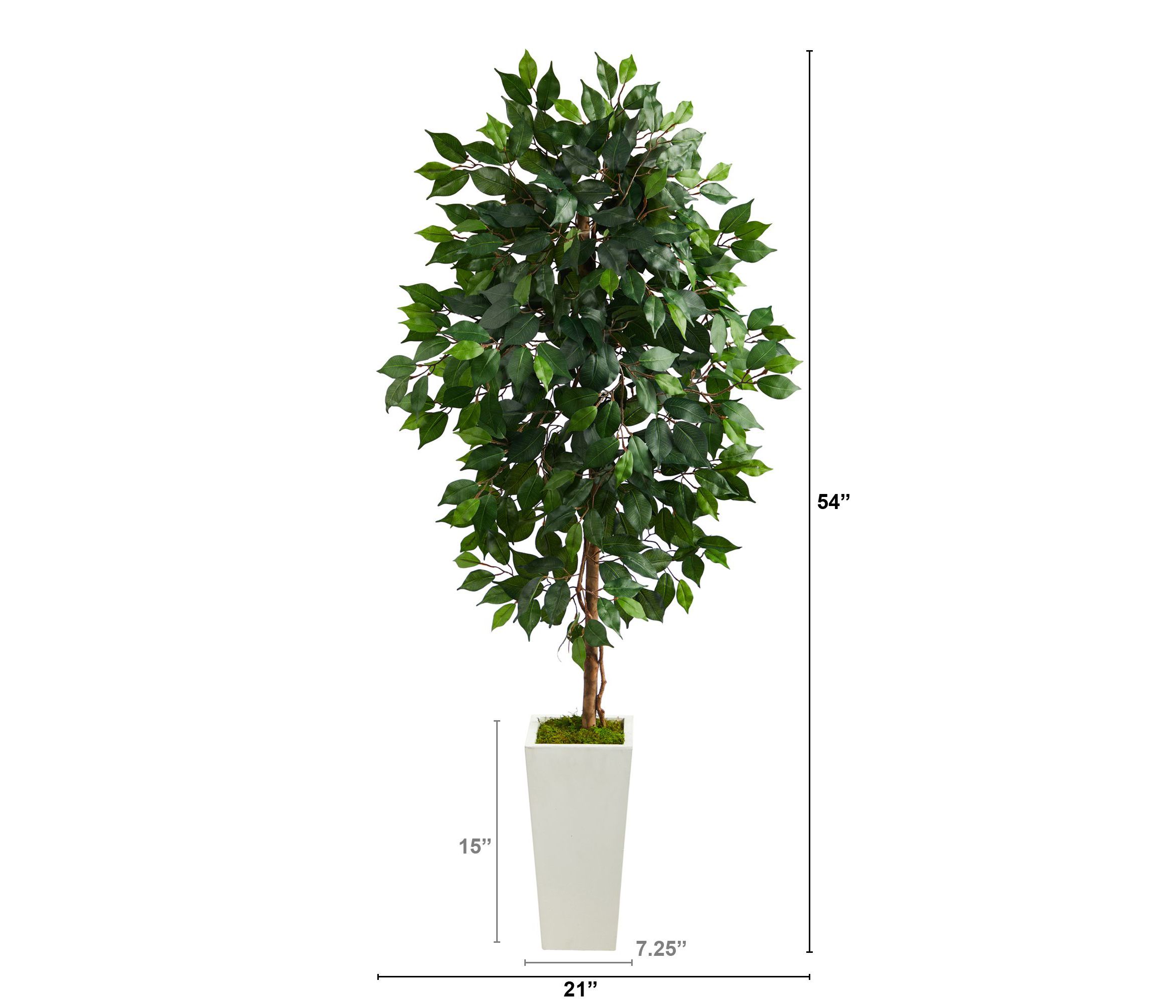 4.5-Foot Ficus Artificial Tree in White Planter
