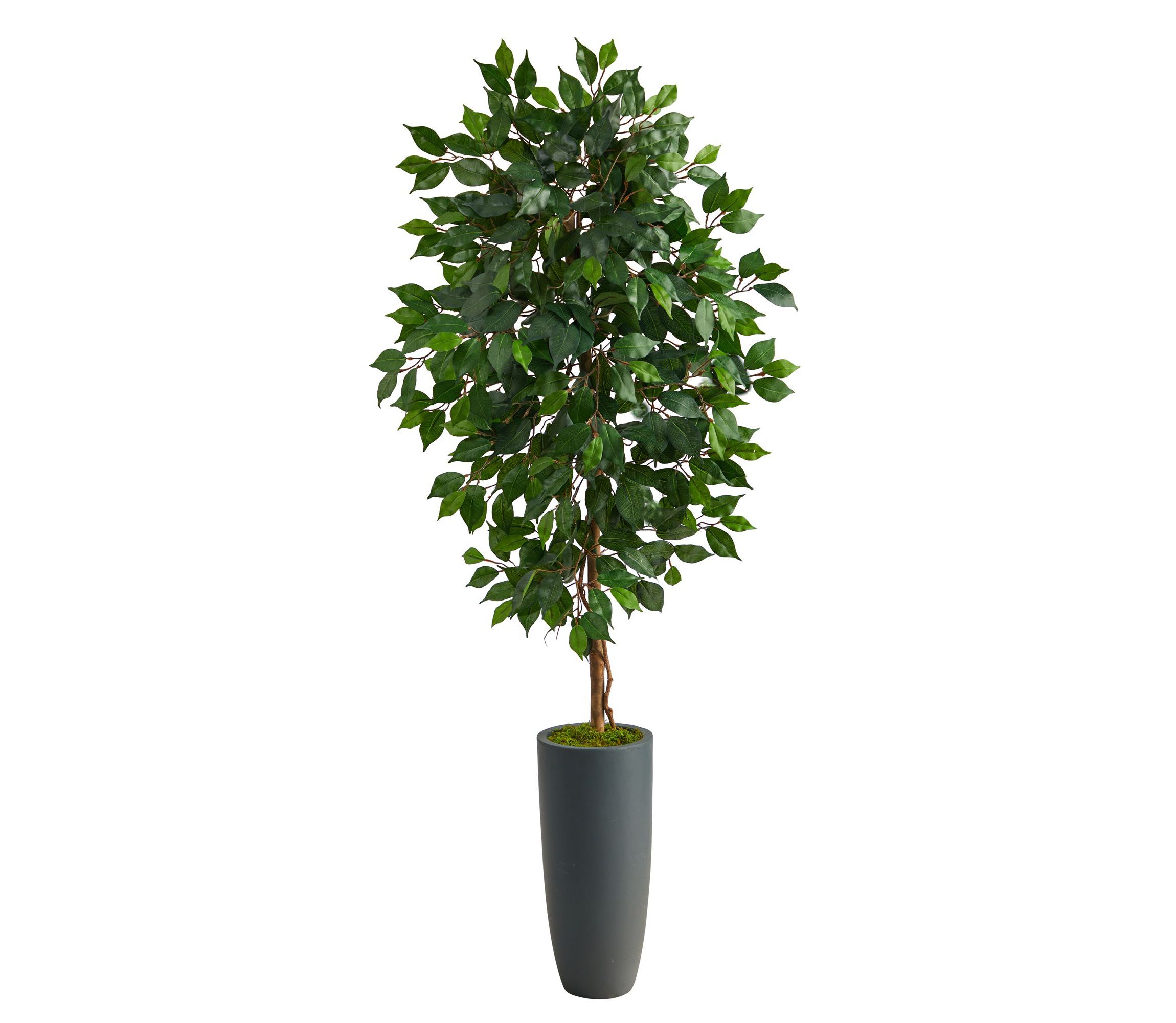 5-Foot Ficus Artificial Tree in Gray Planter