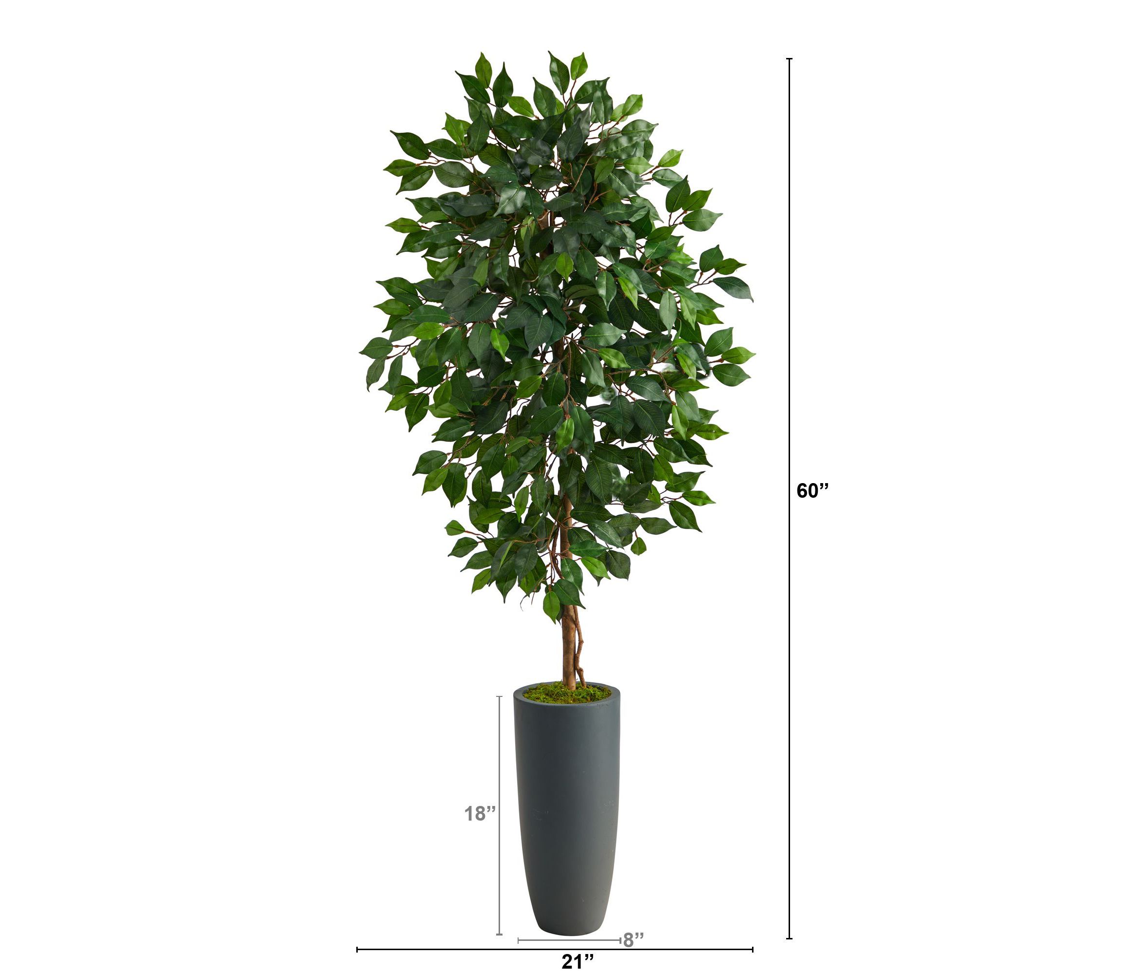 5-Foot Ficus Artificial Tree in Gray Planter