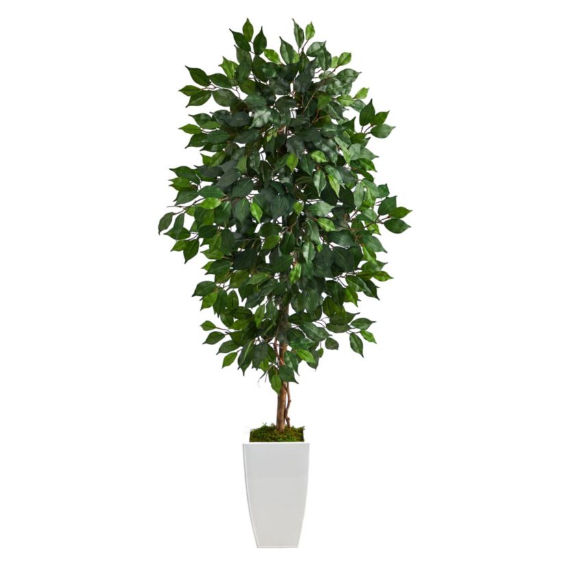 4.5-Foot Ficus Artificial Tree in White Metal Planter