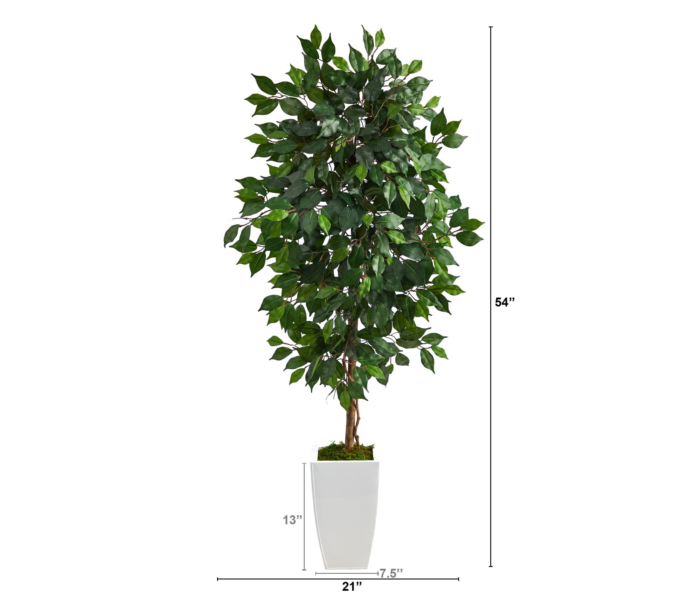 4.5-Foot Ficus Artificial Tree in White Metal Planter