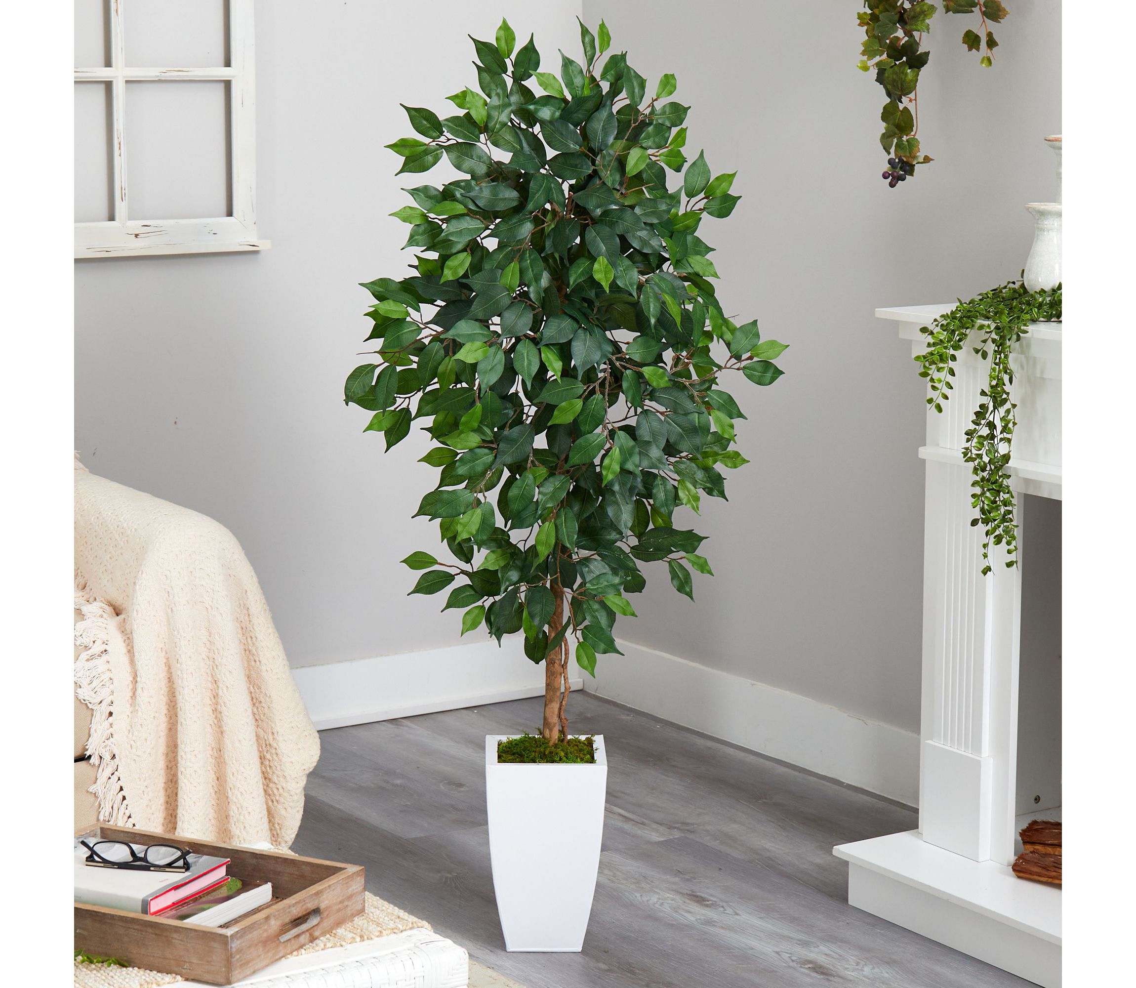 4.5-Foot Ficus Artificial Tree in White Metal Planter