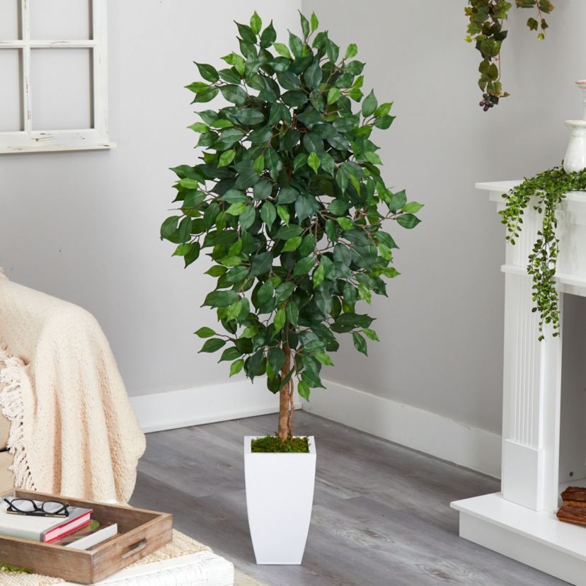 4.5-Foot Ficus Artificial Tree in White Metal Planter