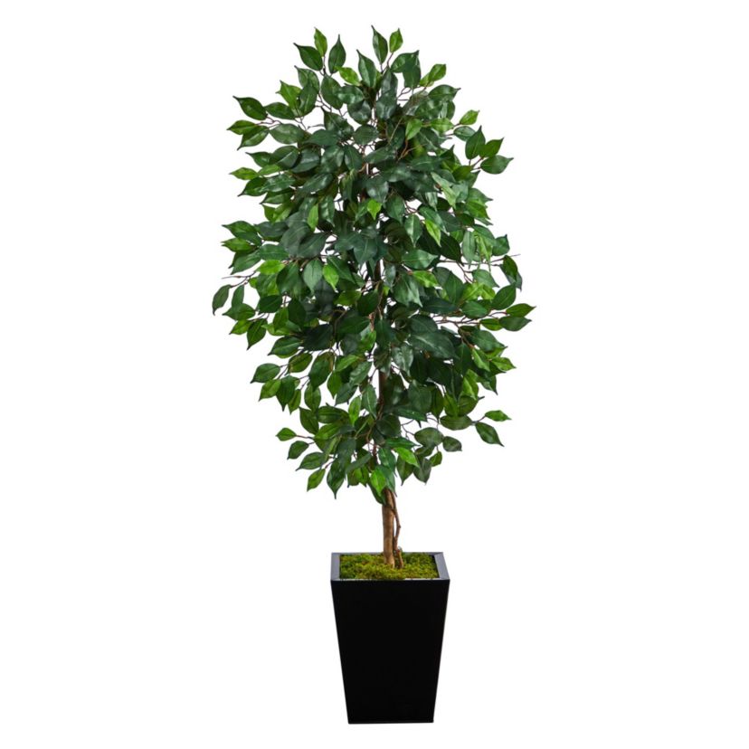 5-Foot Ficus Artificial Tree in Black Metal Planter