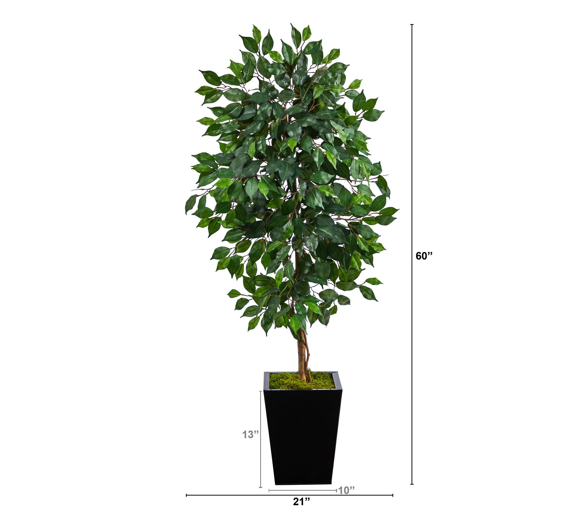 5-Foot Ficus Artificial Tree in Black Metal Planter