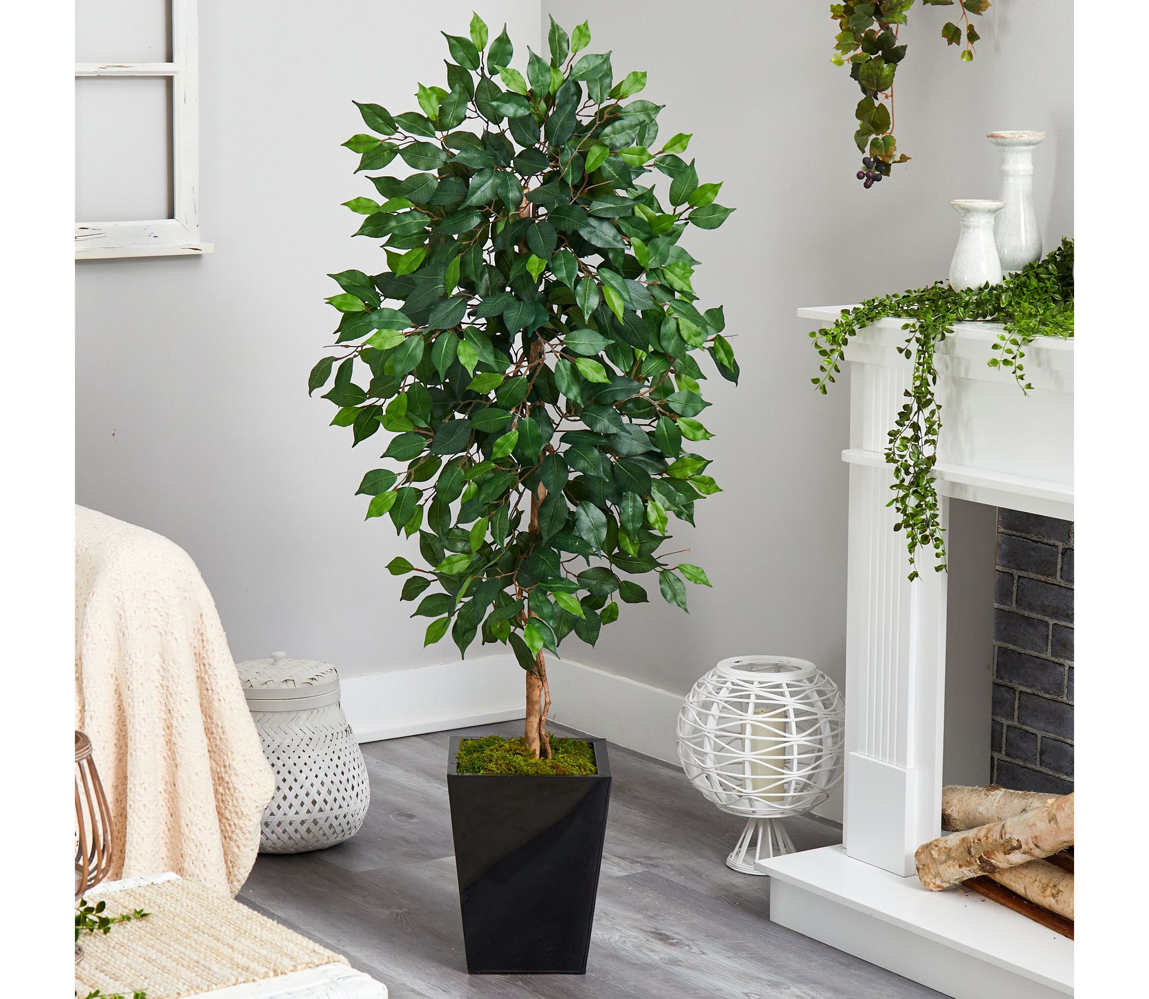 5-Foot Ficus Artificial Tree in Black Metal Planter