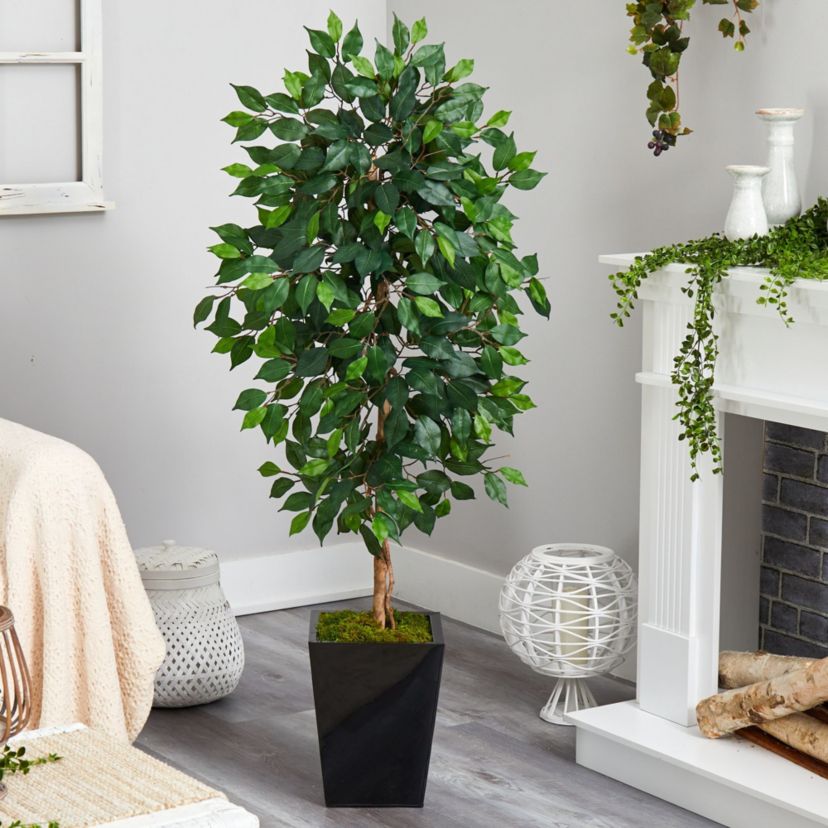 5-Foot Ficus Artificial Tree in Black Metal Planter