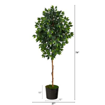 74-Inch Ficus Artificial tree in Black Tin Planter