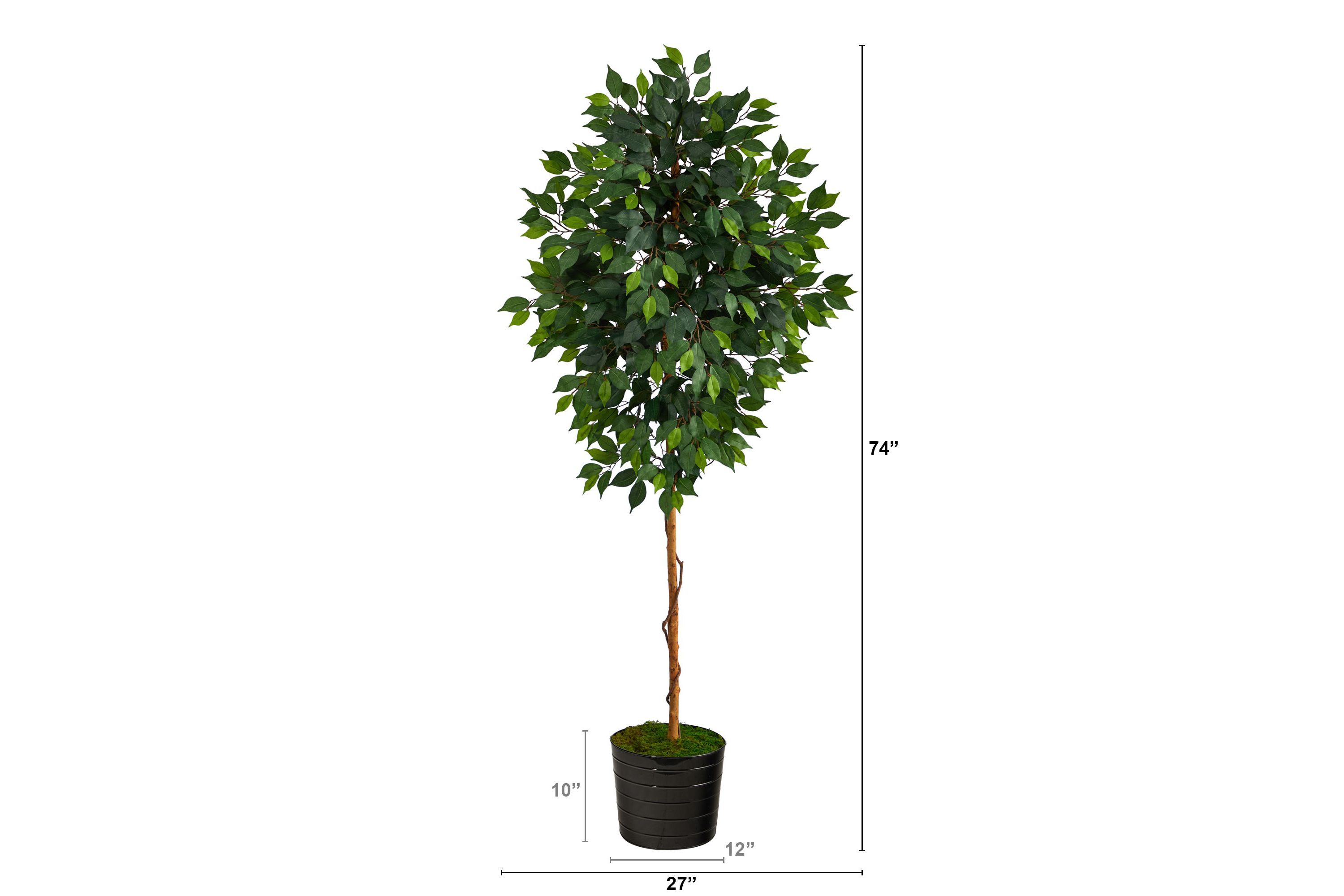 74-Inch Ficus Artificial tree in Black Tin Planter