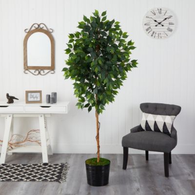 74-Inch Ficus Artificial tree in Black Tin Planter