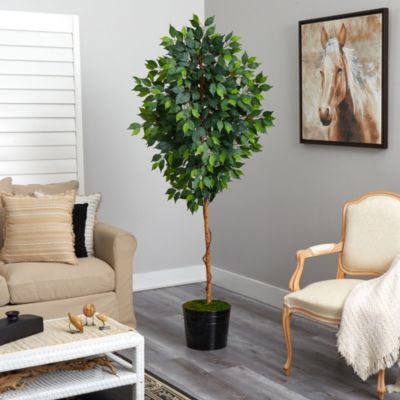 74-Inch Ficus Artificial tree in Black Tin Planter