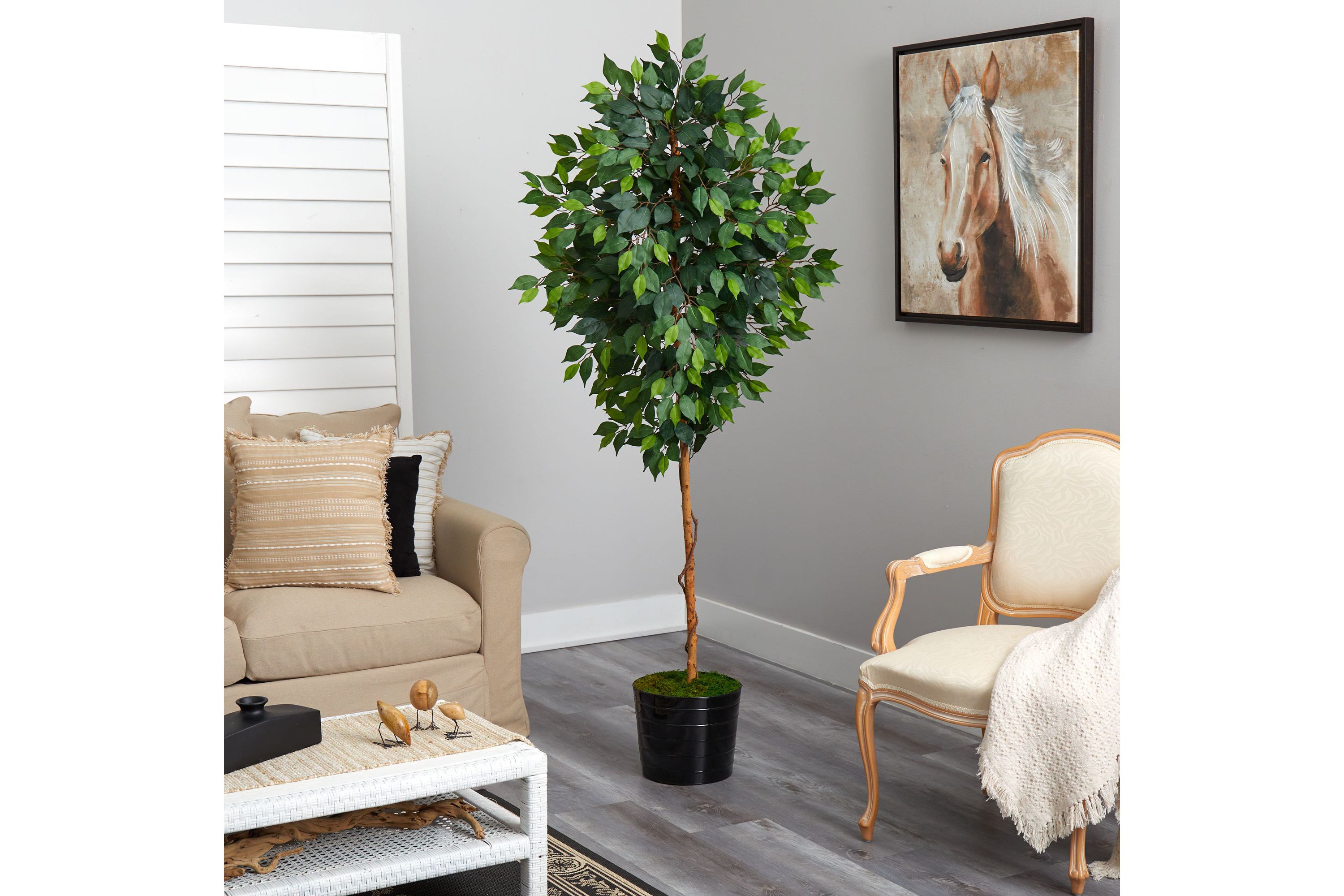74-Inch Ficus Artificial tree in Black Tin Planter