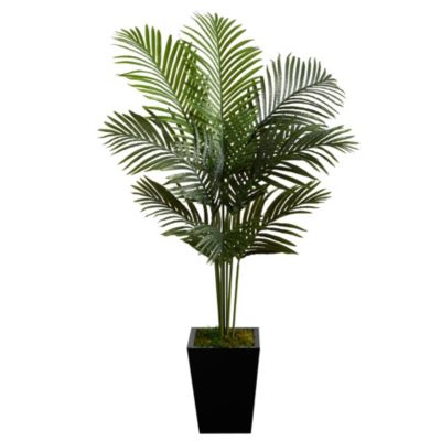 5-Foot Paradise Palm Artificial Tree in Black Metal Planter