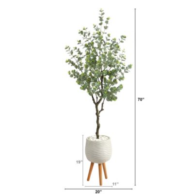 70-Inch Eucalyptus Artificial Tree in White Planter with Stand