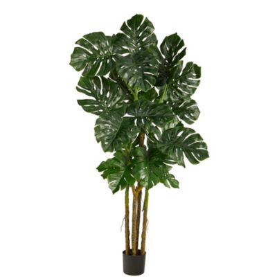 Nearly Natural 6-Foot Monstera Artificial Tree, Green