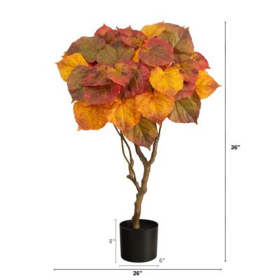 3-Foot Autumn Umbrella Ficus Tree