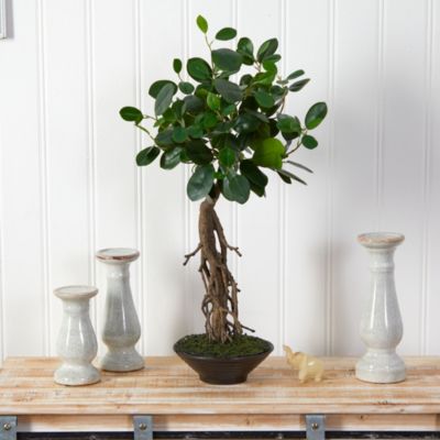 2-Foot Ficus Bonsai Artificial Tree in Decorative Planter