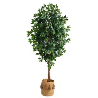 6-Foot Ficus Artificial Tree with Natural Trunk in Handmade Natural Jute Planter with Tassels