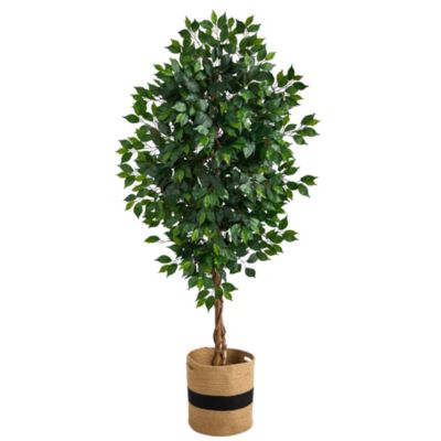 6-Foot Ficus Artificial Tree with Natural Trunk in Handmade Natural Cotton Planter