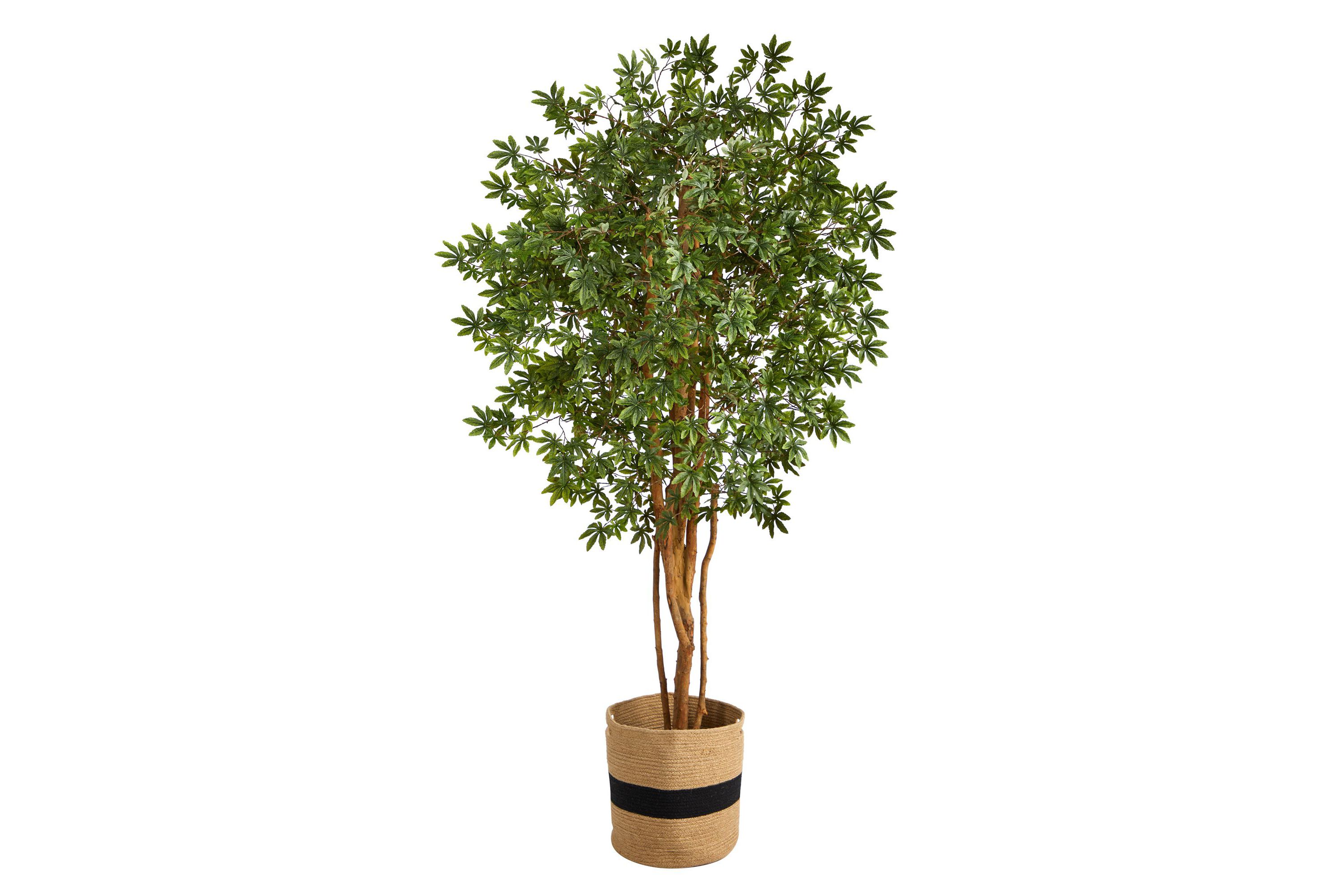 6-Foot Japanese Maple Artificial Tree in Handmade Natural Cotton Planter