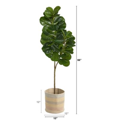 5.5-Foot Fiddle Leaf Fig Artificial Tree in Handmade Natural Cotton Multicolored Woven Planter