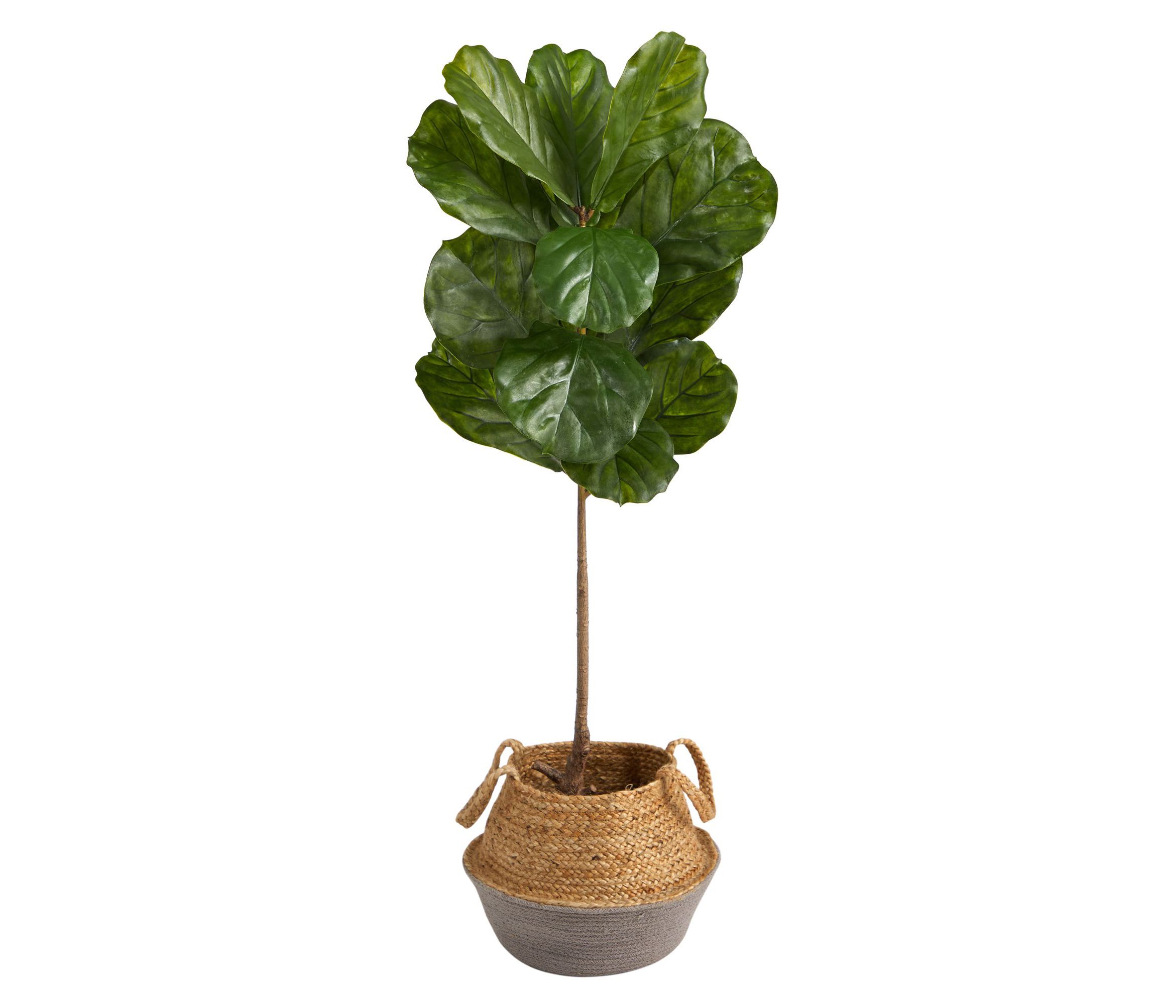 4-Foot Fiddle Leaf Artificial Tree in Boho Chic Handmade Cotton and Jute Gray Woven Planter UV Resistant (Indoor/Outdoor)