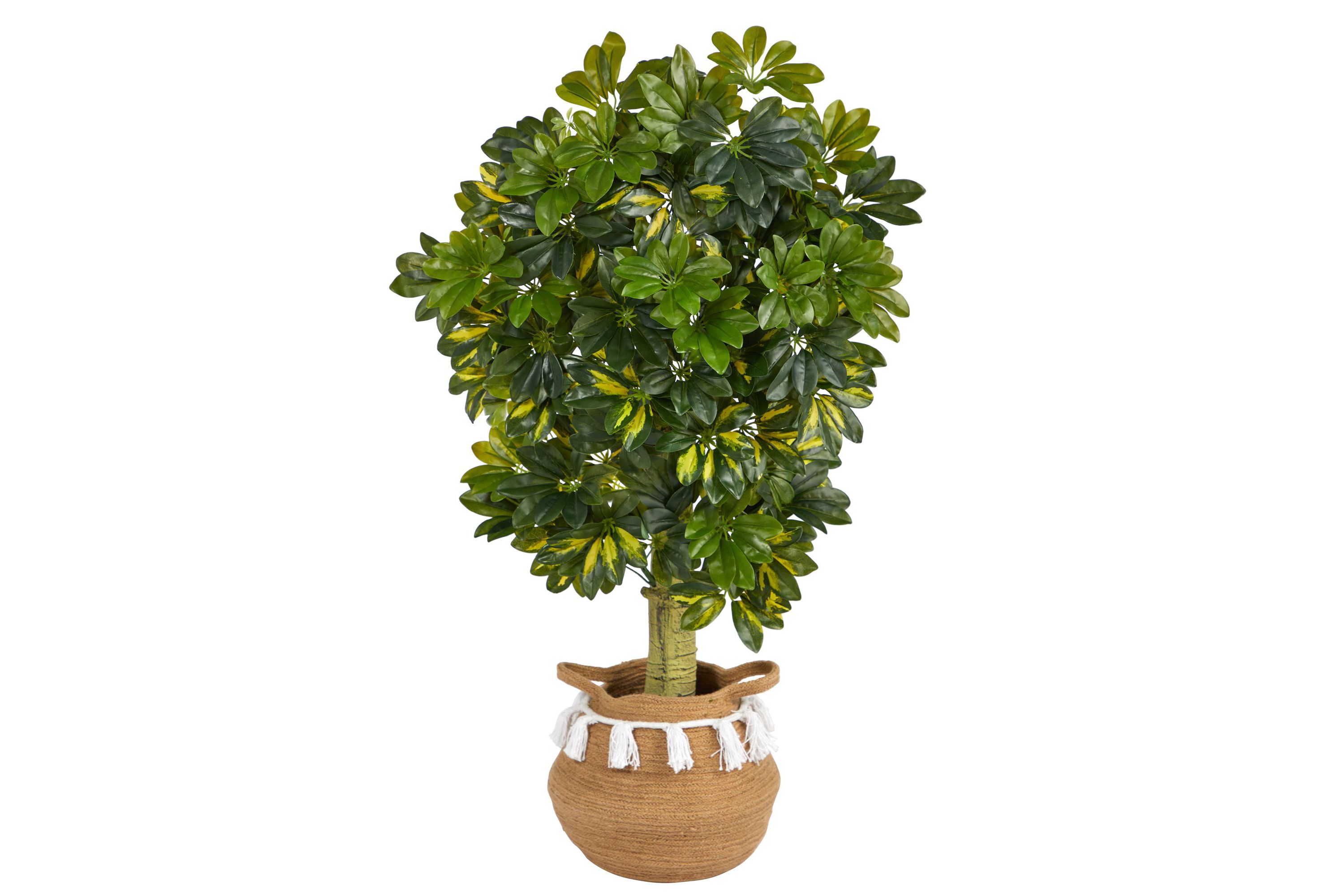 4-Foot Schefflera Artificial Tree in Boho Chic Handmade Natural Cotton Woven Planter with Tassels (Real Touch)