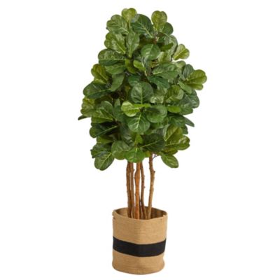5-Foot Fiddle Leaf Fig Artificial Tree in Handmade Natural Cotton Planter