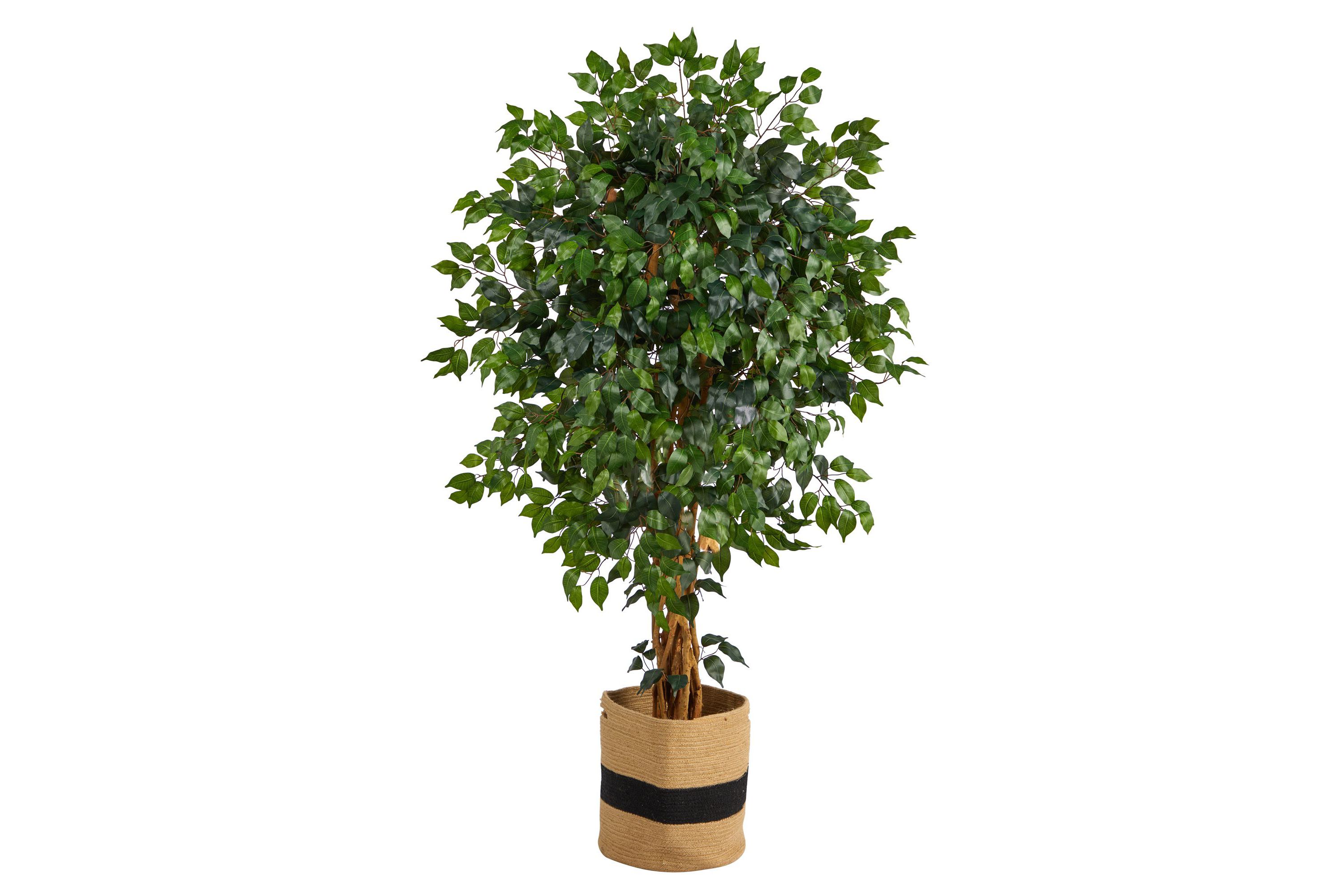 5.5-Foot Palace Ficus Artificial Tree in Handmade Natural Cotton Planter