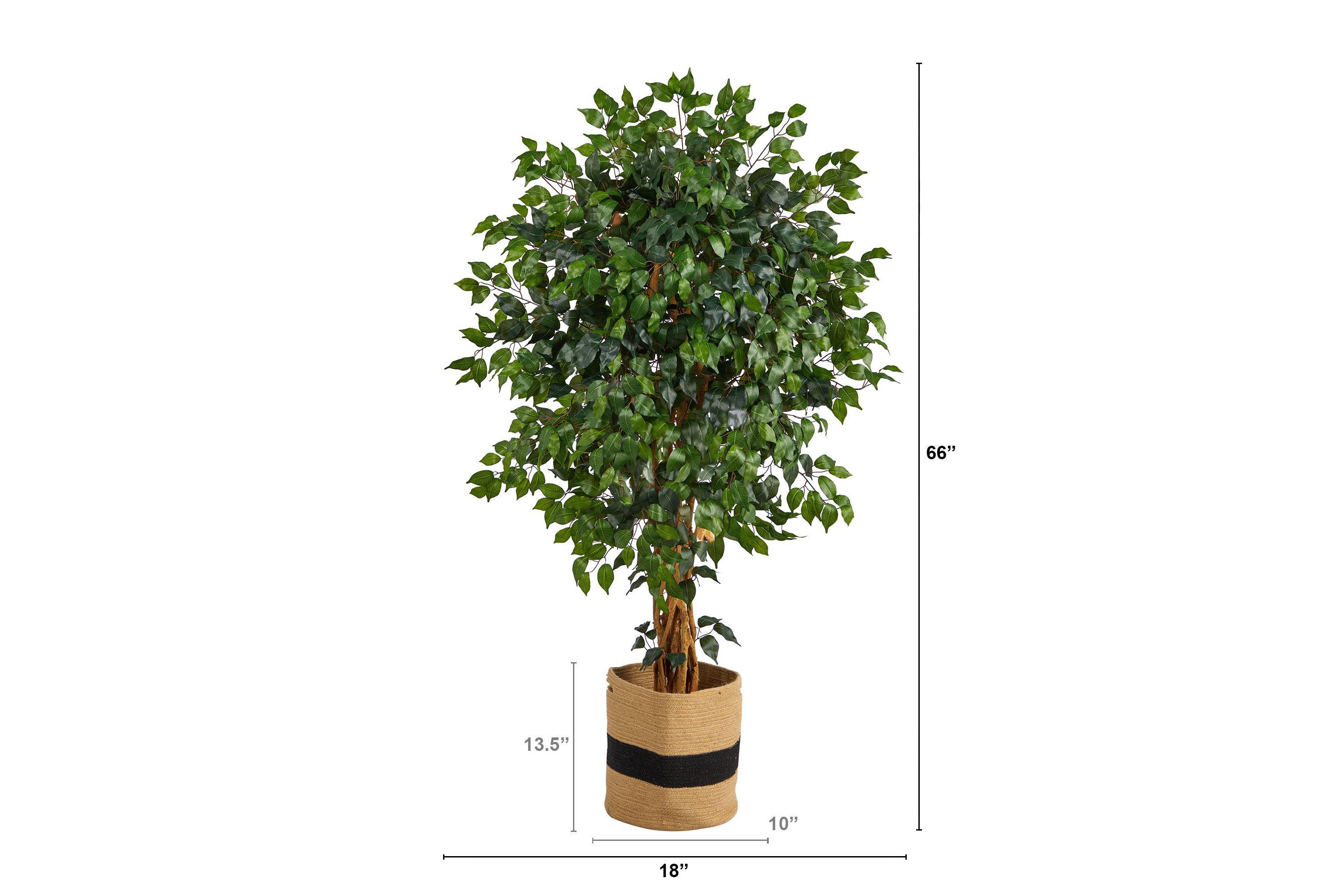 5.5-Foot Palace Ficus Artificial Tree in Handmade Natural Cotton Planter