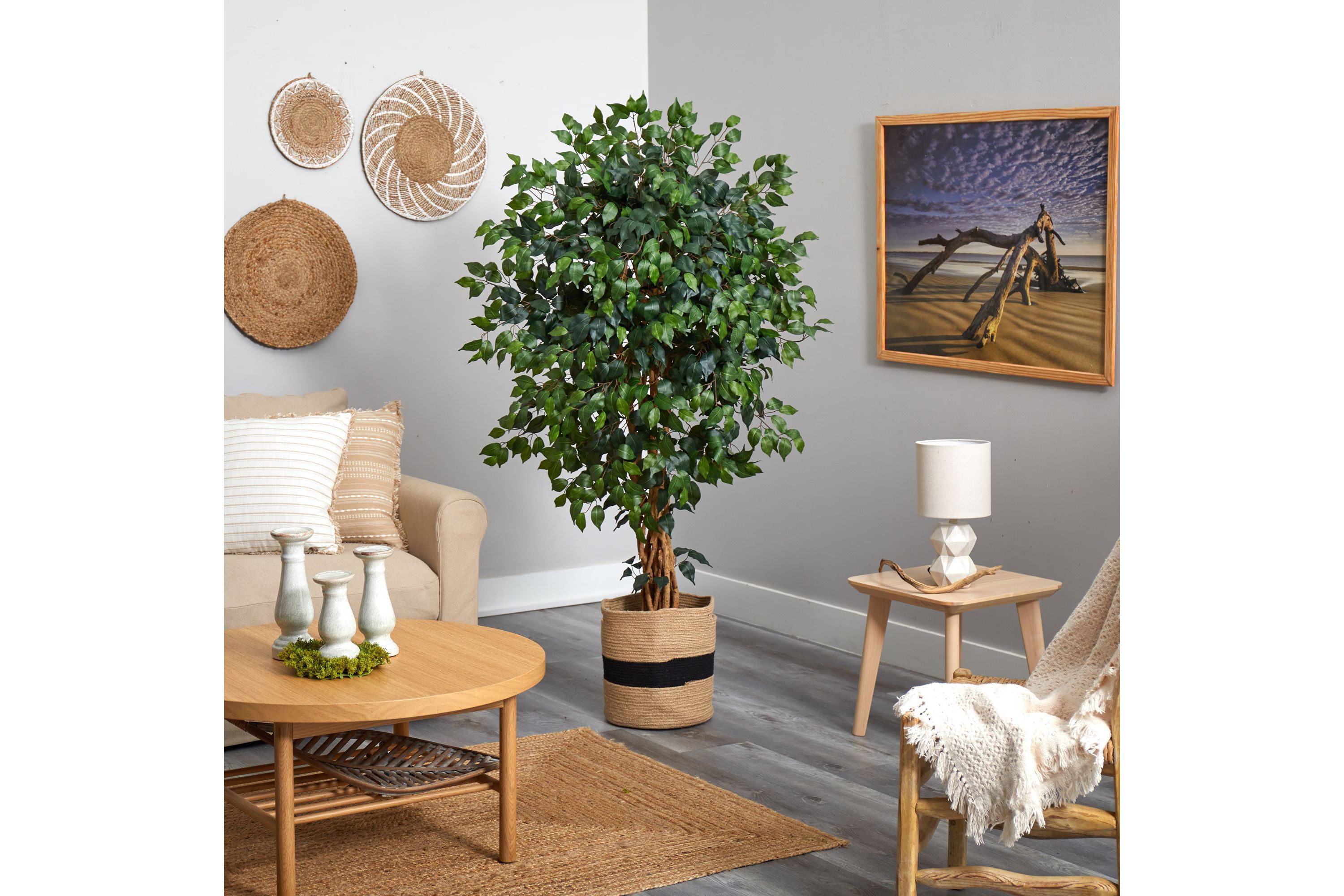 5.5-Foot Palace Ficus Artificial Tree in Handmade Natural Cotton Planter