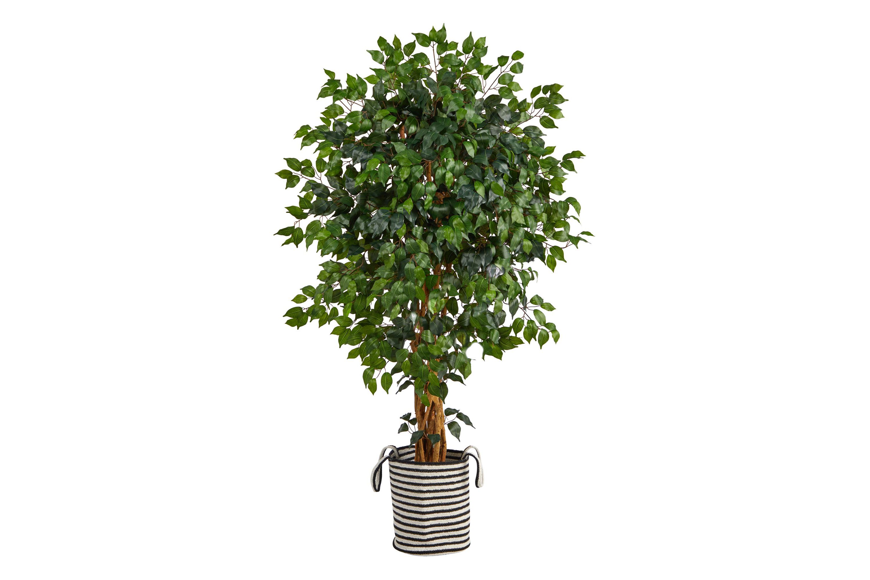 5.5-Foot Palace Ficus Artificial Tree in Handmade Black and White Natural Jute and Cotton Planter