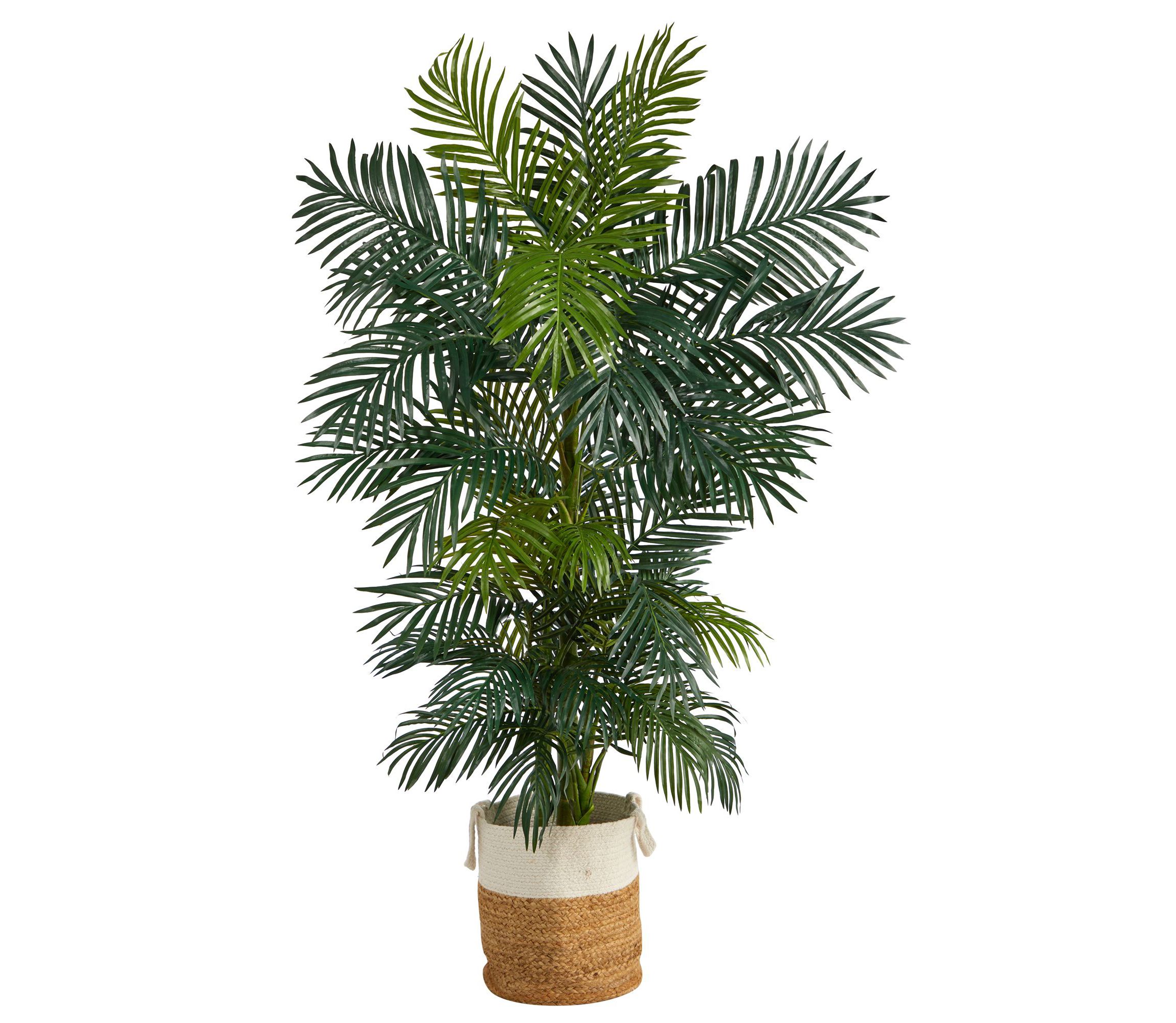 6.5-Foot Golden Cane Artificial Palm Tree in Handmade Natural Jute and Cotton Planter