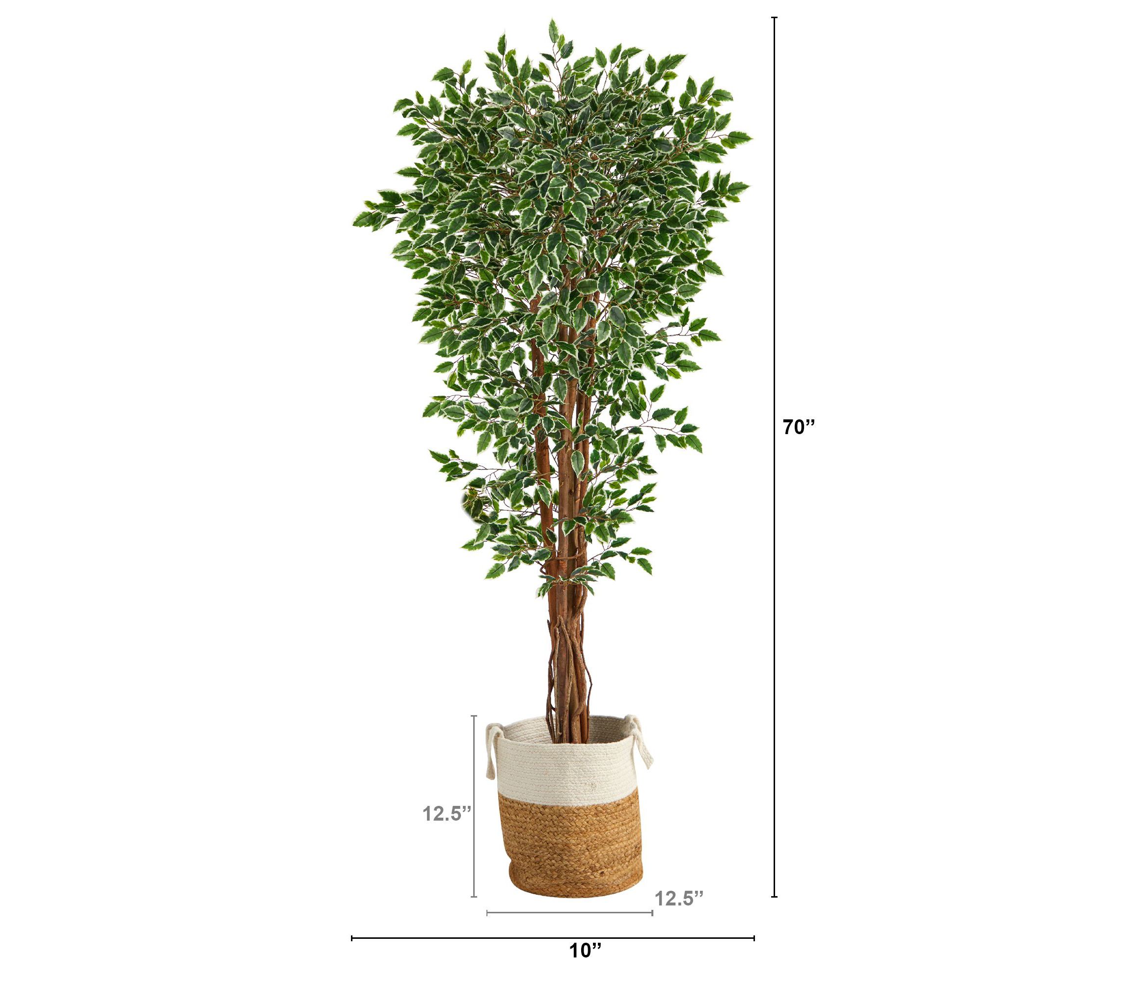 70-Inch Variegated Ficus Artificial Tree in Handmade Natural Jute and Cotton Planter UV Resistant (Indoor/Outdoor)