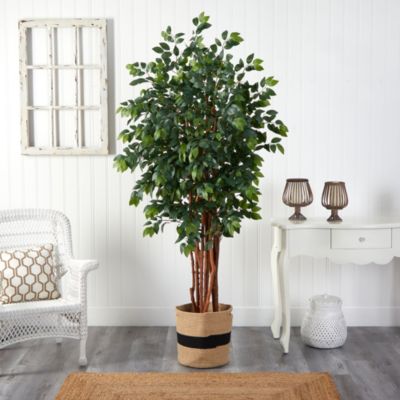 7-Foot Sakaki Artificial Tree in Handmade Natural Cotton Planter