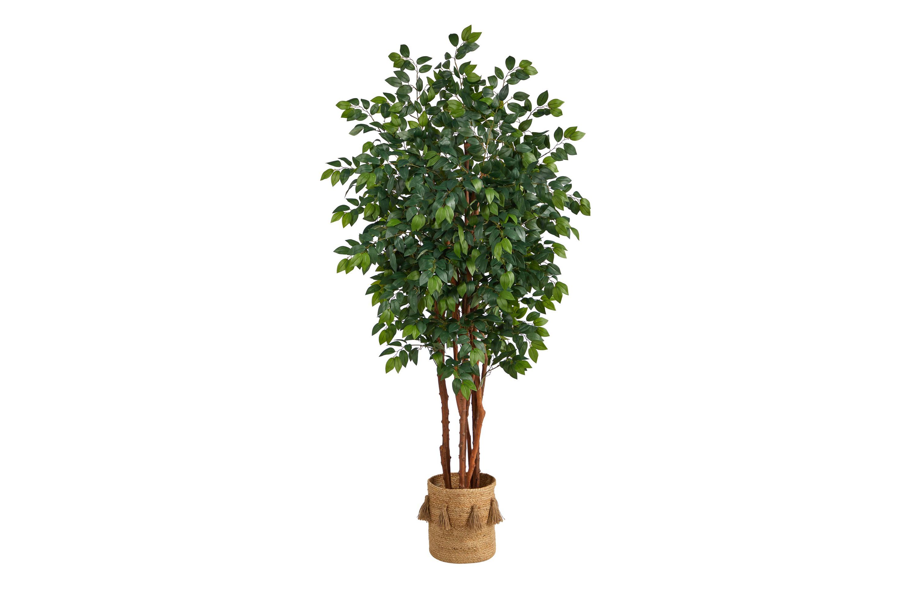 7-Foot Sakaki Artificial Tree in Handmade Natural Jute Planter with Tassels