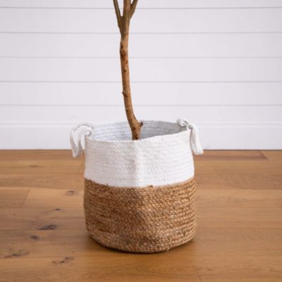 7ft. Artificial Olive Tree with Natural Trunk and Handmade Jute Basket