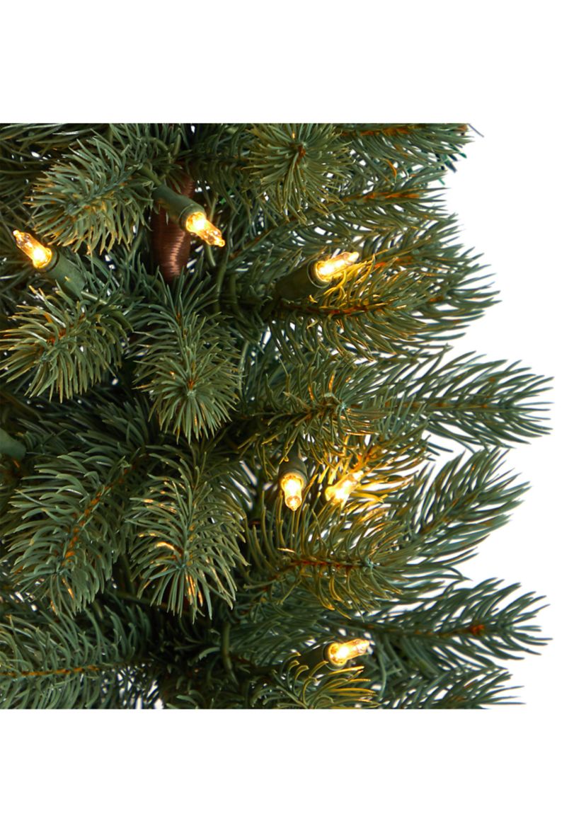 3-Foot Green Pine Artificial Christmas Tree with 50 Warm White Lights Set in a Burlap Base