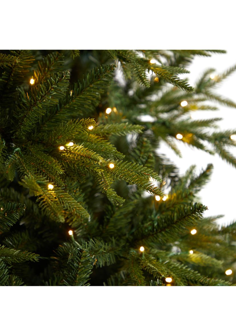 9 Foot Colorado Mountain Fir Natural Look Artificial Christmas Tree with 900 Multi LED Lights and 4600 Bendable Branches