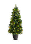 4.5 Foot Oregon Pine Artificial Christmas Artificial in Decorative Planter with 250 Bendable Branches and 100 Warm White Lights