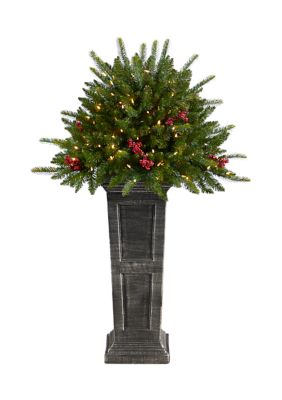 4-Foot Holiday Artificial Christmas Plant Pre-Lit and Glittered on Pedestal with 150 Multicolored LED lights