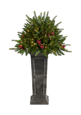 Nearly Natural 4-Foot Holiday Artificial Christmas Plant Pre-Lit and Glittered on Pedestal with 150 Multicolored LED lights, Green, 4 Foot