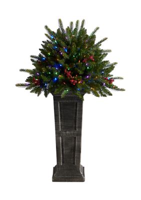 4-Foot Holiday Artificial Christmas Plant Pre-Lit and Glittered on Pedestal with 150 Multicolored LED lights